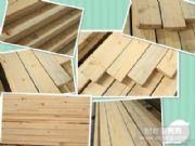 ����spf�ز�