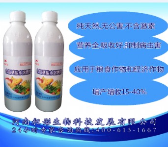 ��ͮ�|������������