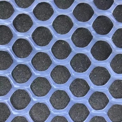 �ؑc�����B(y��ng)ֳ�W(w��ng) ����ƽ�W(w��ng)