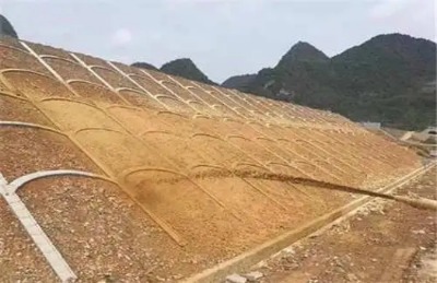 �ؑc��������ֲ��