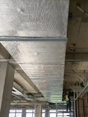 �����r���FƤ����ʩ��� �������O�䱣�ع���