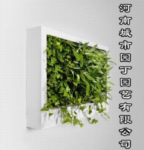 ���Ј@�����ݿ͏dֲ������OӋ-���ϳ��Ј@���@ˇ���޹�˾