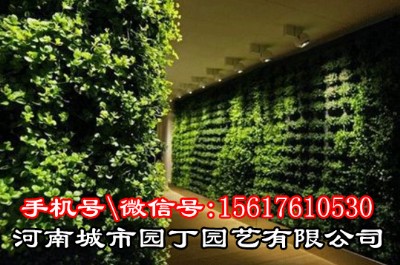 �Ϻ����ݿ͏dֲ������OӋ|��ֱ�G��|��픻��@|���ƾ��^|��