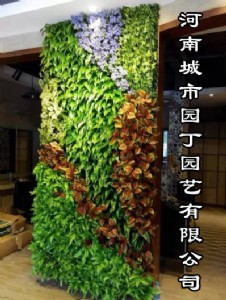 ���ݳ���ֲ�һƽ���r��-���ϳ��Ј@���@ˇ���޹�˾