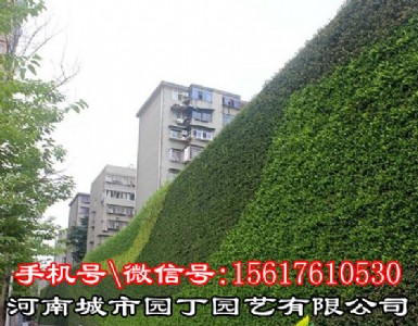 ����������_�Gֲ�������Ŀ