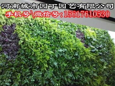 ������_�Gֲ������_���w��ֱ�G��_���ϳ��Ј@���@ˇ���޹�˾