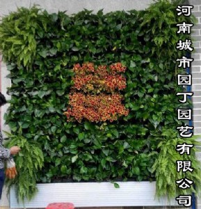 �҃�������_�Gֲ������(�Gֲ��)