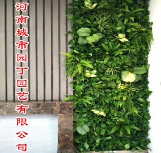 �����ֹ�ֲ�ʩ���r��-���ϳ��Ј@���@ˇ���޹�˾