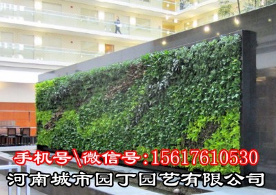 ����ˮ��ֲ�ʩ���r��-���ϳ��Ј@���@ˇ���޹�˾