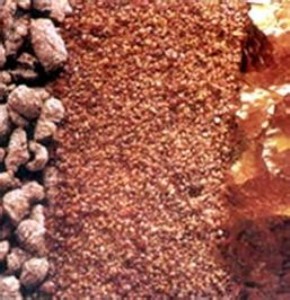 �����㽭�����x�z�������x�z�������x�z