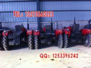 �S�r�������|50�����C�gĥ550�����C�gĥ�C