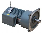 �����Ԅӻ��Bֳ�O���R�_