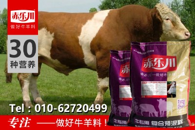 ��ţ���ʷ�����ţ�����A����