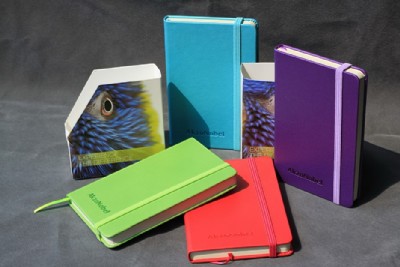 �S��ӛ�±���퓌��涨�ƣ���퓹Pӛ�������Q