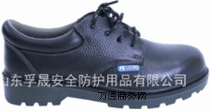 ������ȫЬFS-339