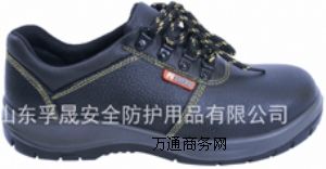 ������ȫЬFS-388