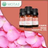��motaĽ�����͡�õ�徫��10ml