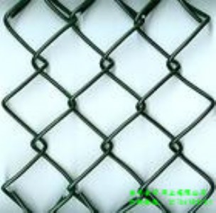 С�^���@���ھW�������W���h朾W