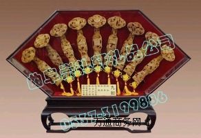 ��������ľ��������ľ�����Y܎������