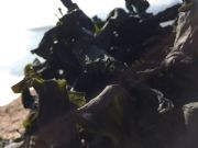 �ṩ�^ˮ�ϲ˺����ȸ��N���r��؛