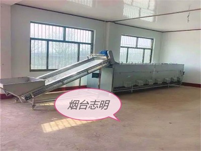 �ӹ�������С���{��ʳƷ���b�ּ��C