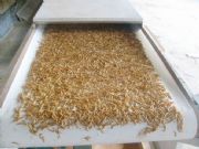 �Ϻ�����CS-SD΢����ˎ�ĸ�����C(j��)