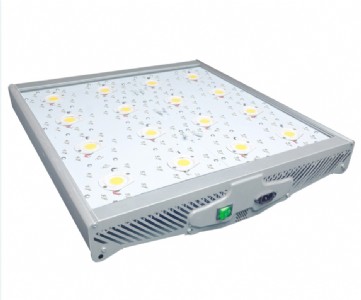 ֲ���a���ȫ���V���L����_��_����ֲ����{(di��o)��ֲ��