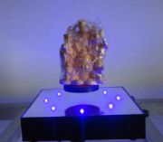 �őҸ��S��ֱ�N�őҸ������ڽ���Ʒ