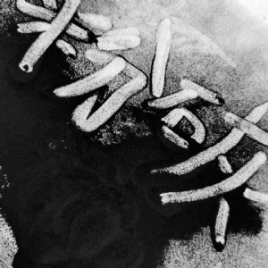 ͨ�ݹ���(y��ng)��ˮ̎��ú�|(zh��)�۠����̿  Óɫ����cod����