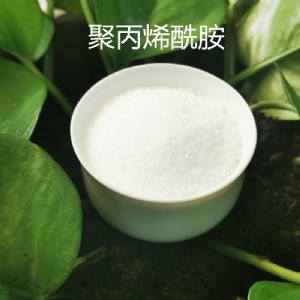 ��������(y��ng)�۱�ϩ����  ��x���(y��ng)�x����������ϴɰϴú�� �S��