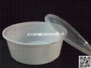 3000ml��側����(�D)