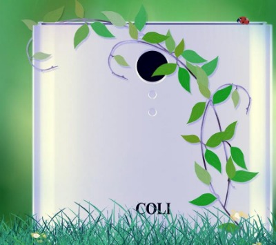 ����ĸ��{�V��ˮ��2.0�汾�������̼��˹��̺���