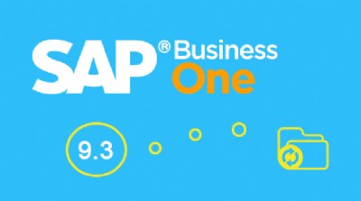 sap business one 9.3�¹��ܽ�B�������Ƽ�