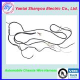 ��܇�ױP����