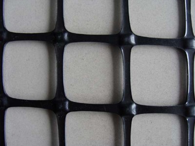 �p�������������