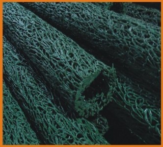 ���ψA��ä�Ϲ�