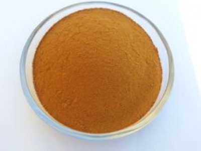 �ؑc�Ĵ��F����������V���ЙC�߻��������Z�S�ҬF؛