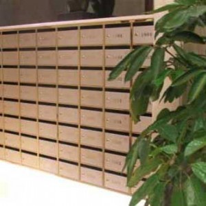 �ؑc�ň����OӋ����