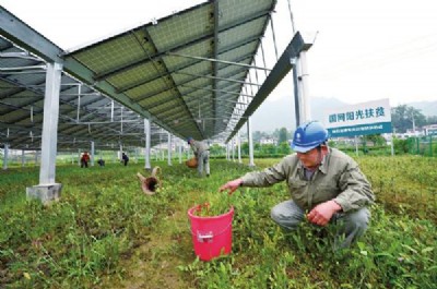 �r(n��ng)�⻥�a(b��)����l(f��)��(xi��ng)Ŀ�Gɫ�h(hu��n)��