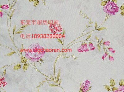 ӡ�������|ݸӡ����������ӡ����