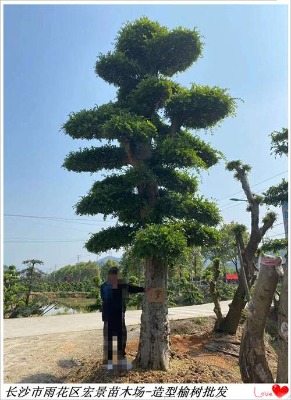 ���������ܘ� �������U�ܘ��^�m(x��)���h�t��������ľ�Ј�