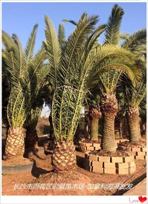 ���粻������Ж|����|���ϼ����������Ϻ꾰