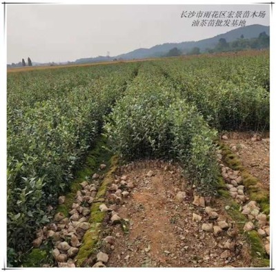 �Ͳ����� �����Ͳ���r(ji��)��-�Lɳ�Ͳ���˦�u�Ϻ꾰