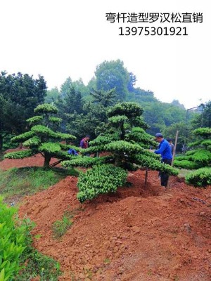 ������Ư���˺��������_�h��-�Lɳ�_�h����ľ�����㽭�L�d