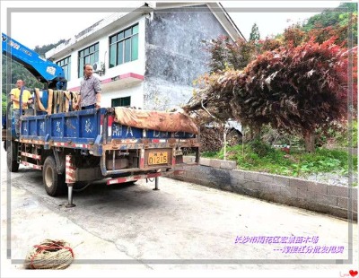 ���ϼt����ľ ���ϼ޽Ӽt�� �gꖼt���r�������N