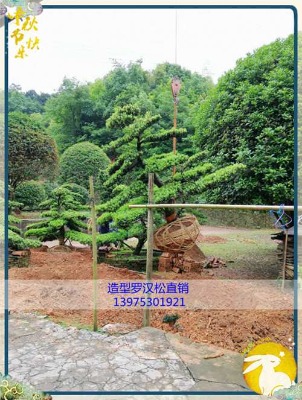 ���������_�h��