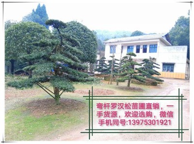 �_�h����ľ-�����_�h�Ƀ��ݾ́������_�h������