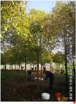 ����ȫ������-�Lɳ���������^�m��؛�У����θܸܵ�