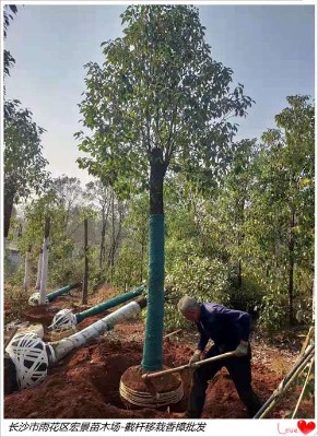 �������������r��һ·�ߵ�,�g�ȫ������Ó�f����