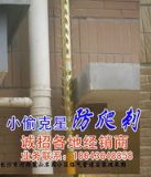 �������������㽭�������K���I�̷�����